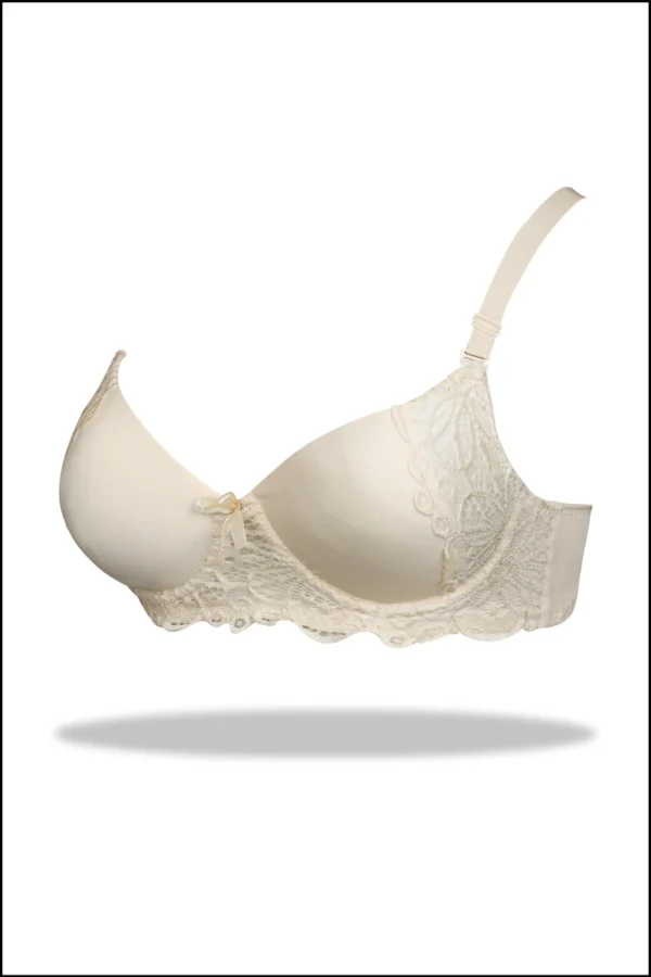 Skin Double Padded Pushup Bra and Panty Set - Image 3