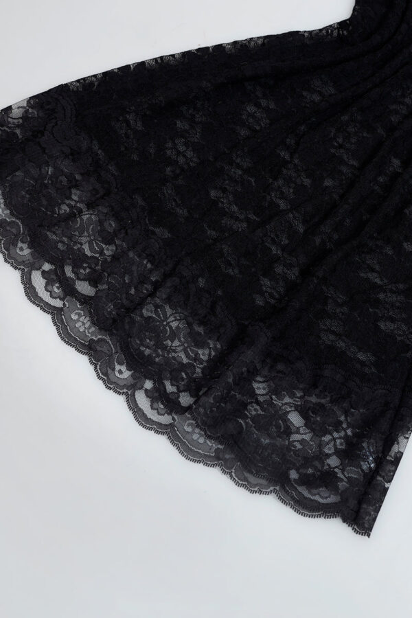 Black Teasel - Image 2