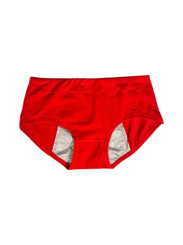 (Pack of 3) Leak Proof Double Layered Period Underwear - Image 2