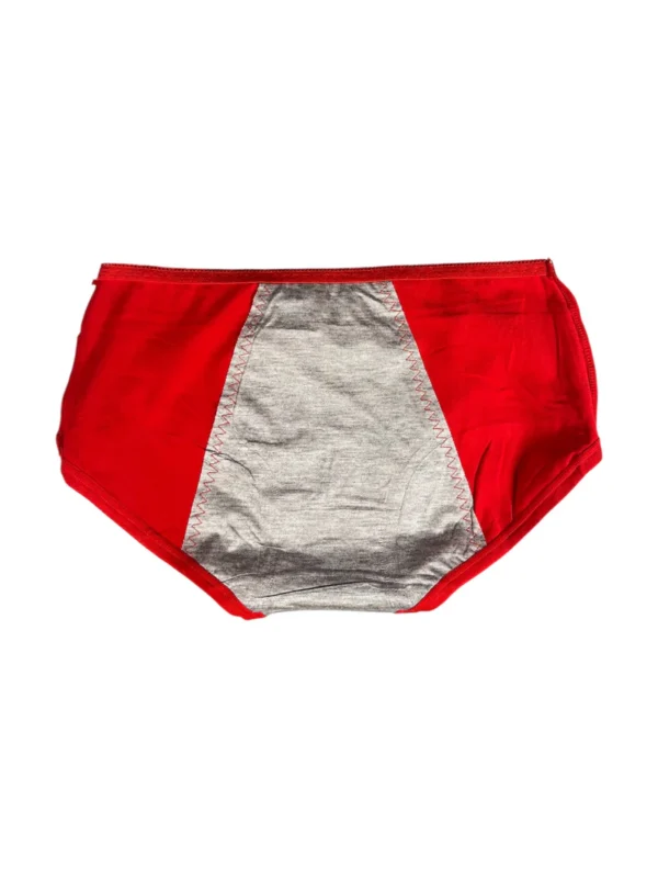 (Pack of 3) Leak Proof Double Layered Period Underwear - Image 3