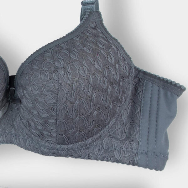 Grey Zephyr Padded Bra and Panty Set - Image 3